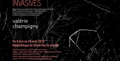 Constellations invasives / Valérie Champigny